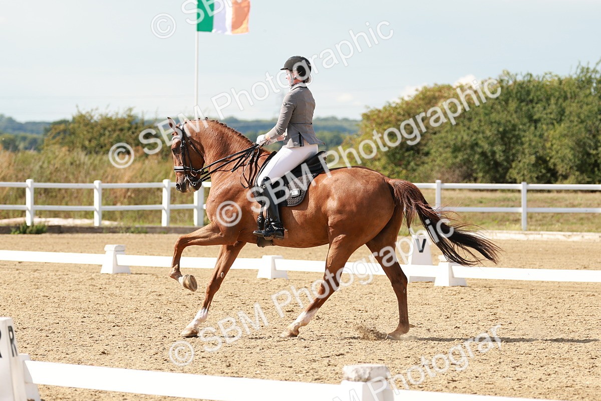 SBM_002564 - Class 11 - Medium 6