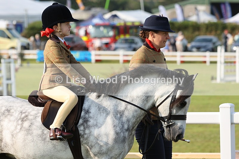 JPP_0141 - Class 14: Cornish Combination Leading Rein