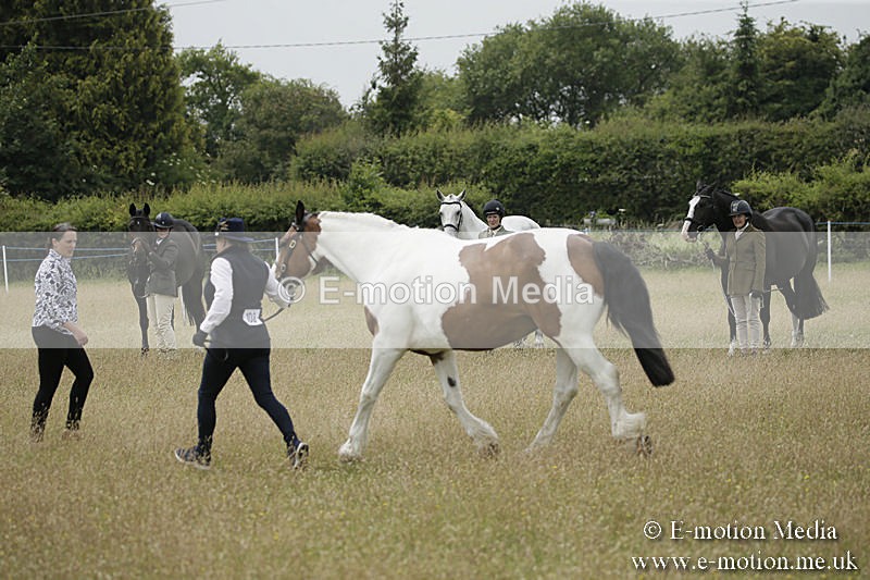 B230619-0394 - Bourne Valley Riding Club Summer Show 23/06/19