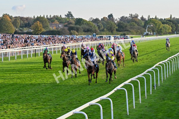 111025-Race 7-Lets Dream-0695 - Race 7 Coral 'Committed To Safer Gambling' Finale Handicap at York