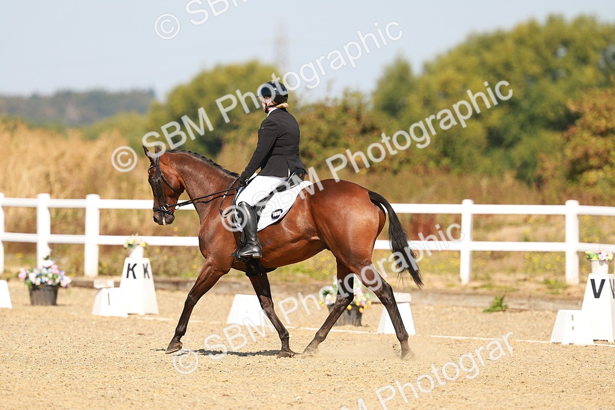 SBM_017724 - Class 9 - N5 Bronze 10.33.11.36