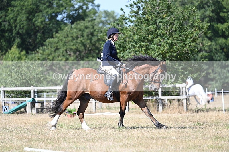 WJ7_0804 - Time 12:03 to 12:23