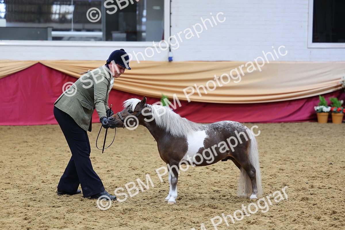 SBM_22893 - Class 903 - Supreme Final - IH Pre Vet