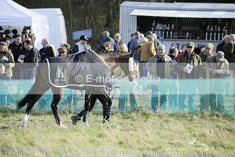 PtP 260222 535 - Kingston Blount Racing Club Point-to-Point 26/02/22