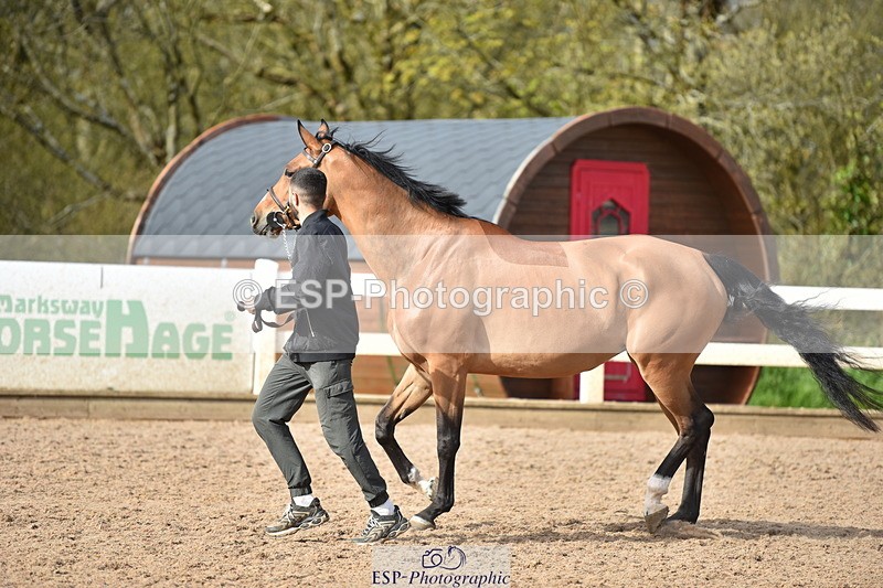 240417A-164450-01316 - 4pm to Finish