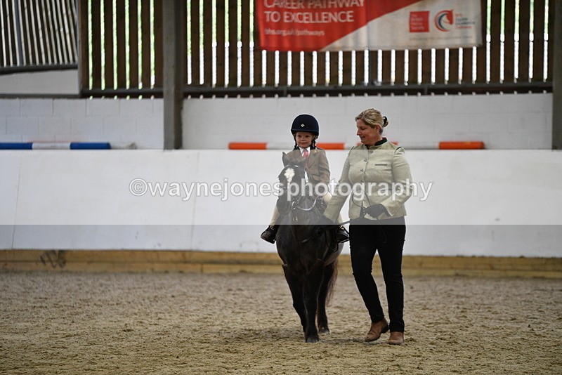 WJ5_6617 - Class 10 Childs Pony