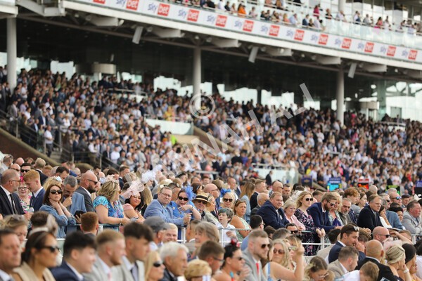 yr20082022r2-27 - Race 2 2.35pm Sky Bet Melrose Stakes