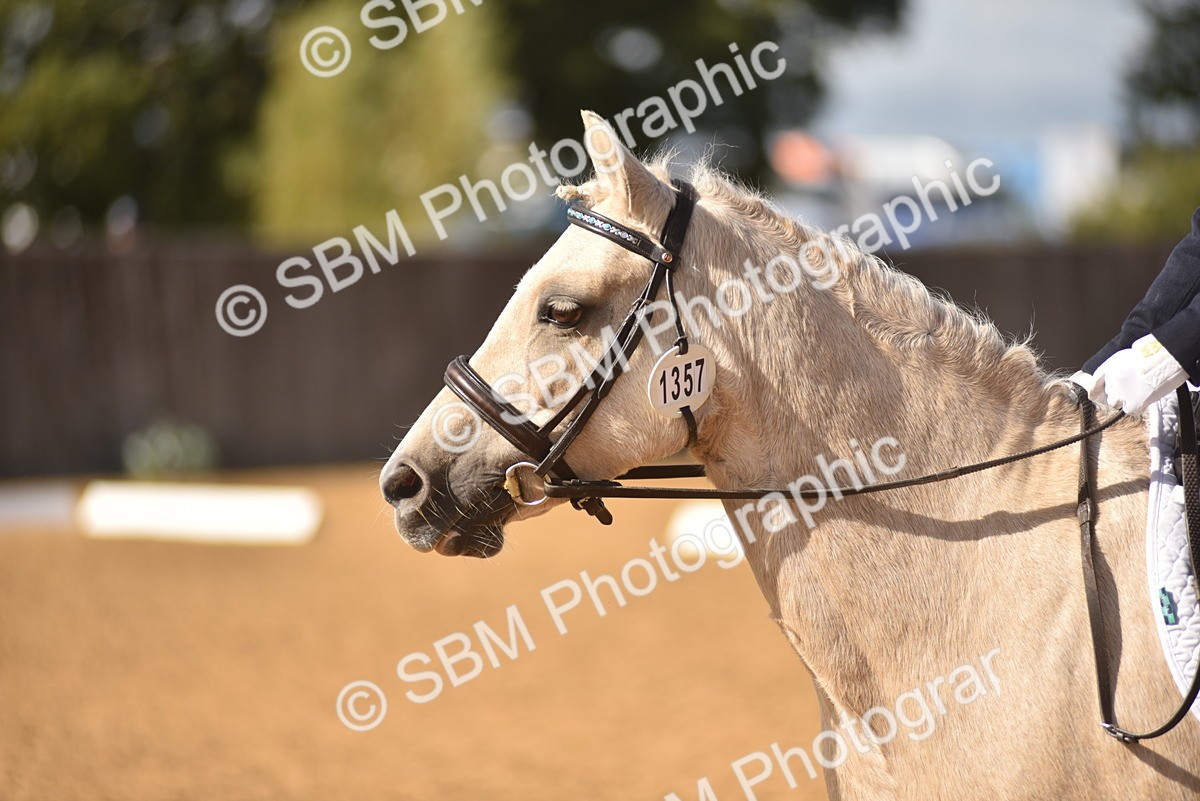 SBM_48771 - D22 - Junior Championship Intro 3