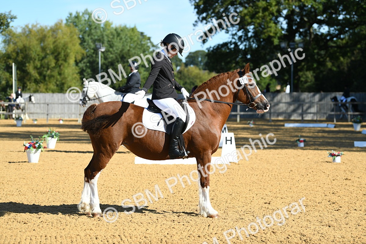 SBM_18044 - D4 - Small Tour Championship - Intro B