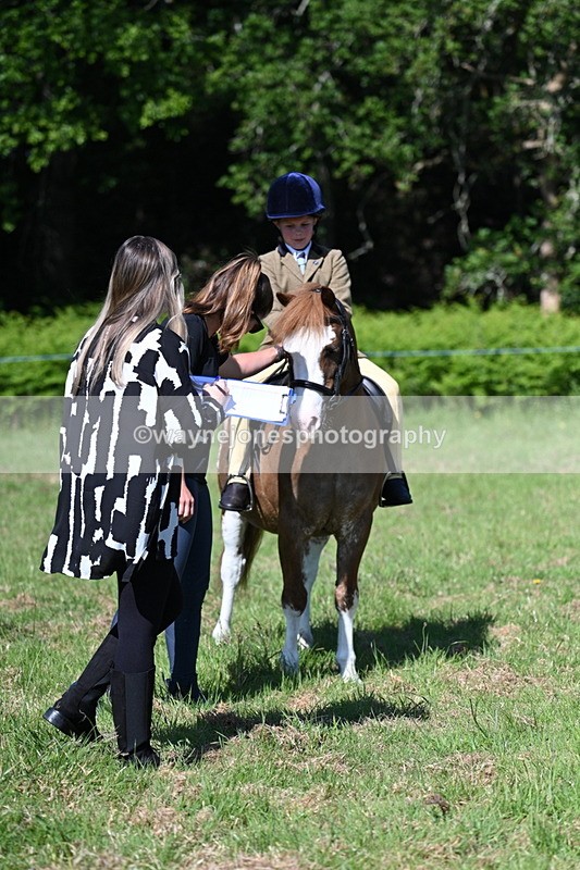 WJ7_0504 - Class 8 First Rally Pony