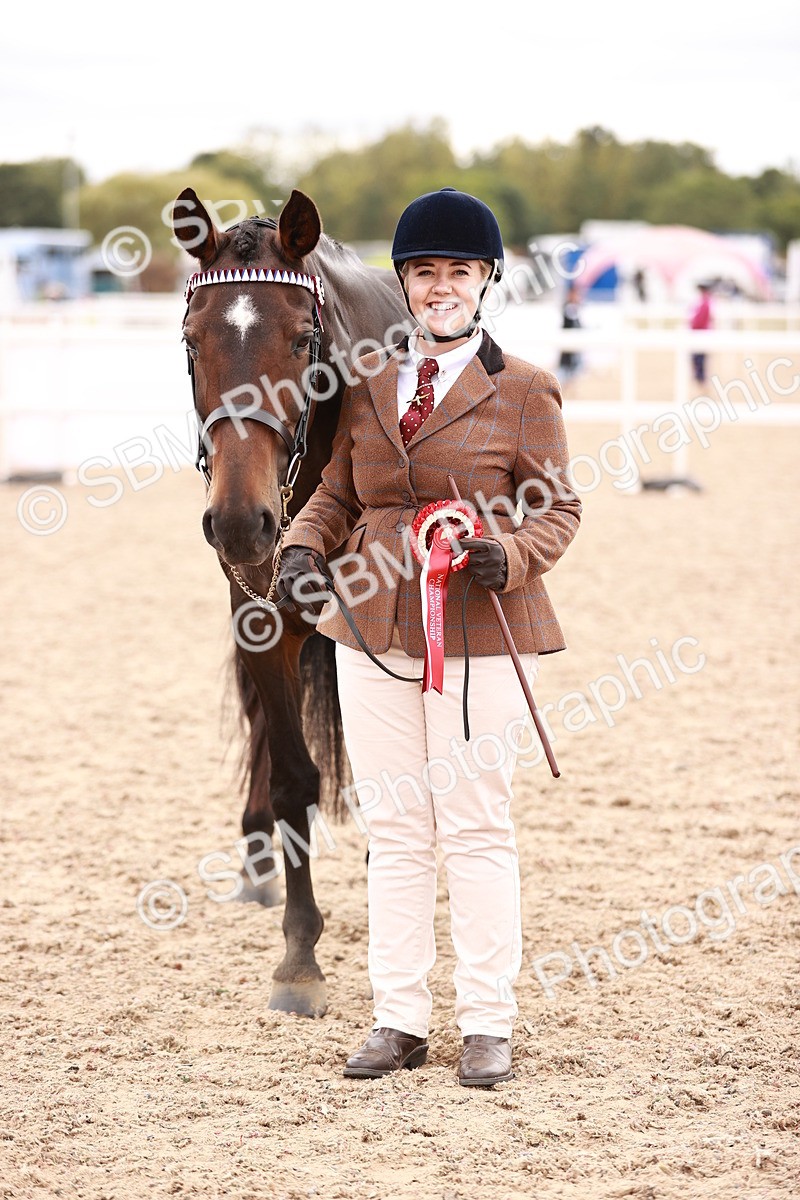 SBM_16364 - Class 413 - Best Condition - Adult