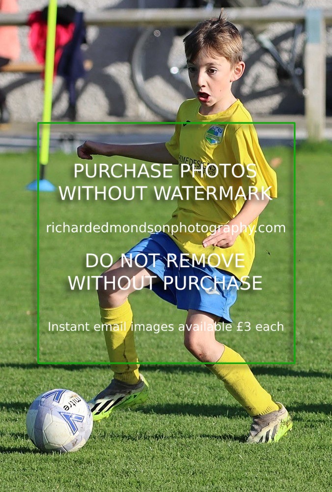 IMG_6847 - Wattsfield Under 9's