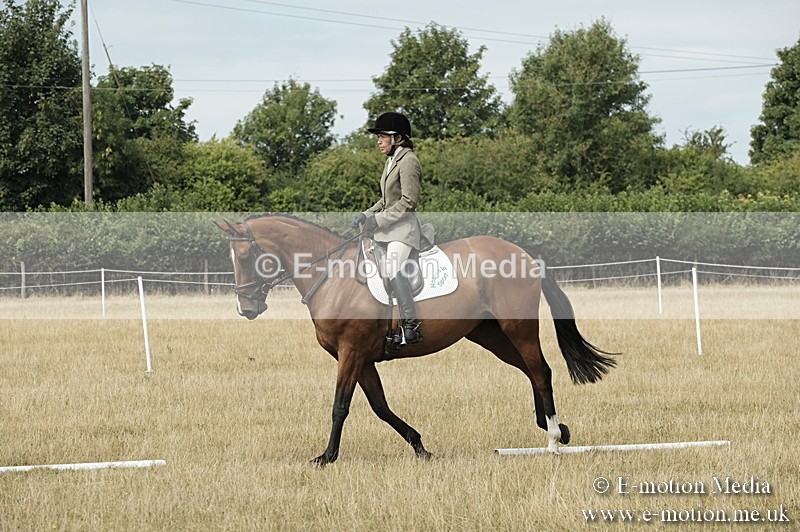 _PJP5797 - Dressage Classes BVRC Show 2018