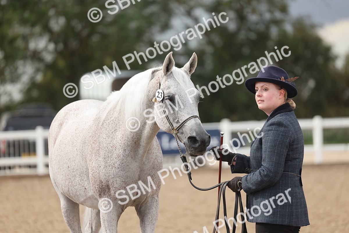 SBM_06900 - Class 25 - IH Foreign Breeds - Purebred