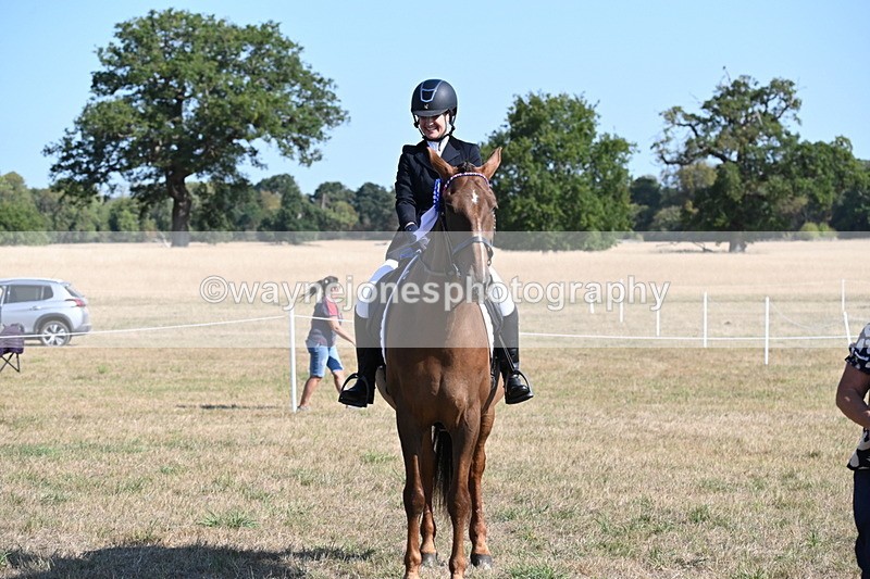 WJ6_7374 - Class 33 Rescue Pony
