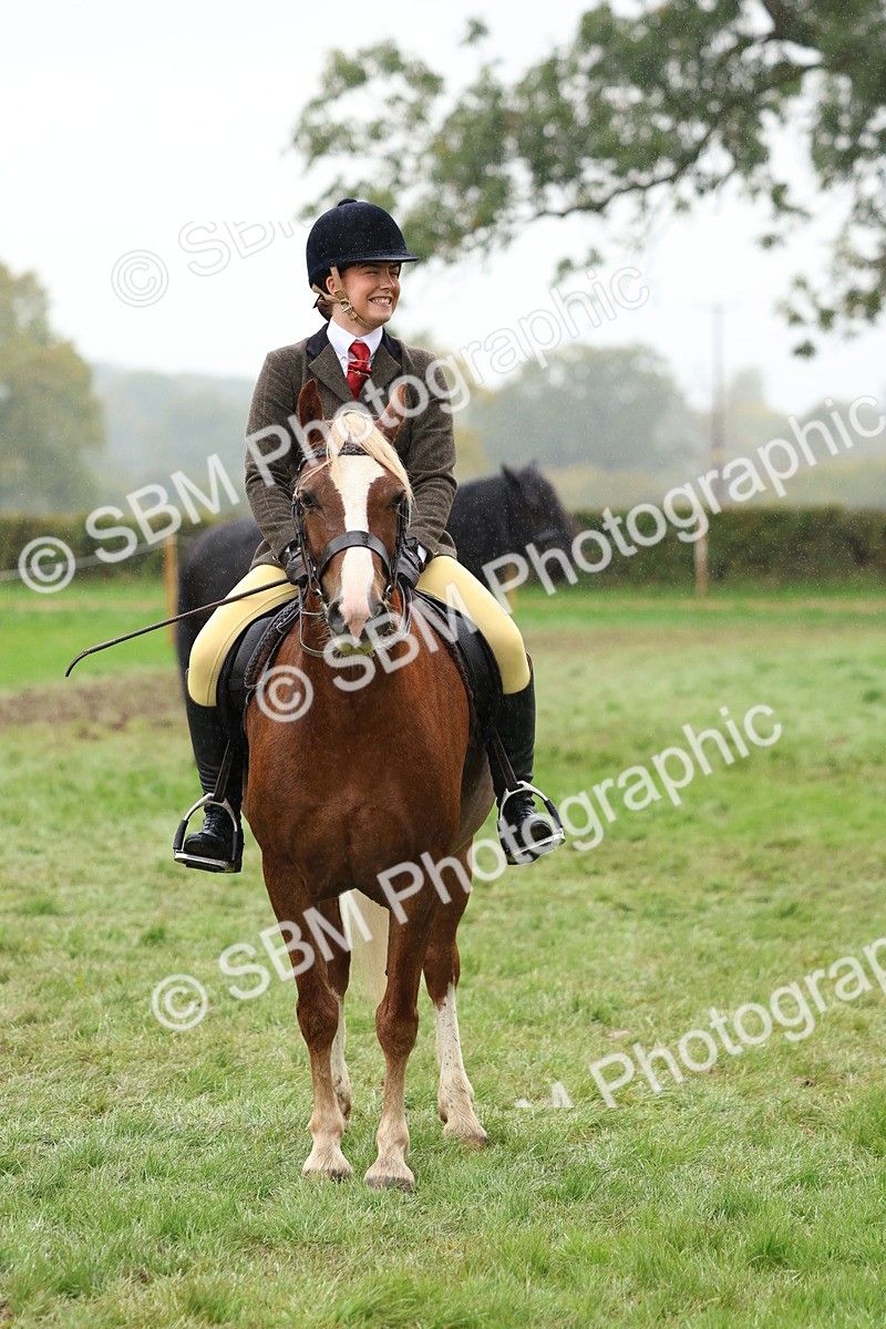 SBM_69734 - S62 - Mountain & Moorland Ridden Large Breeds