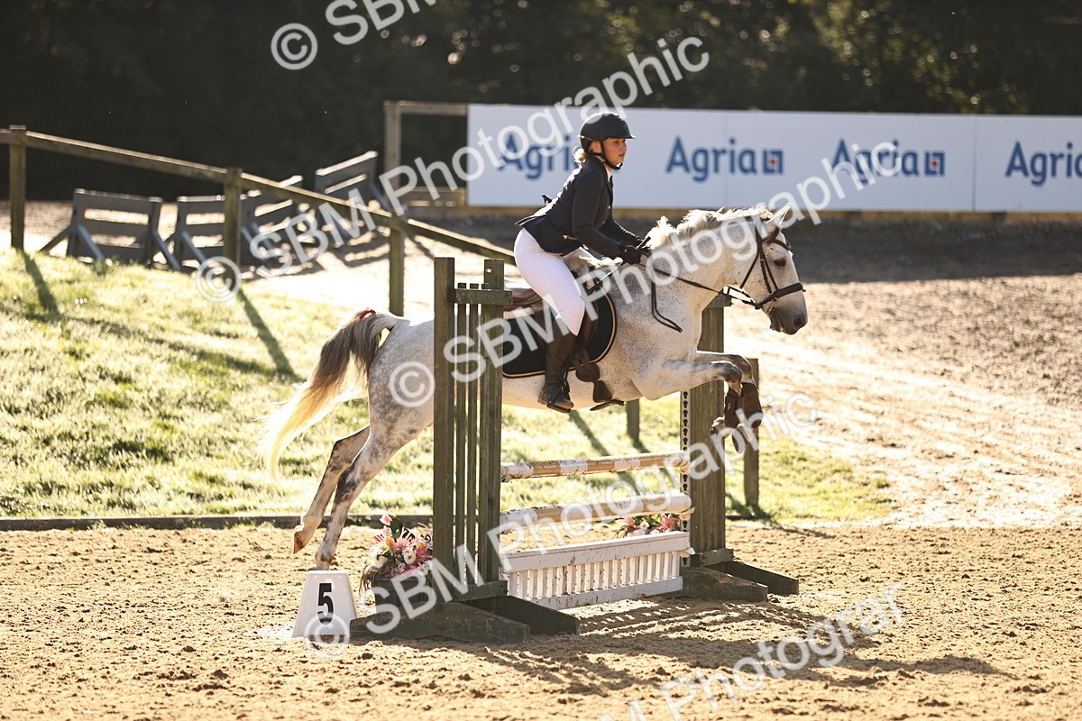 SBM_35101 - J38 - Senior 80cm Championship