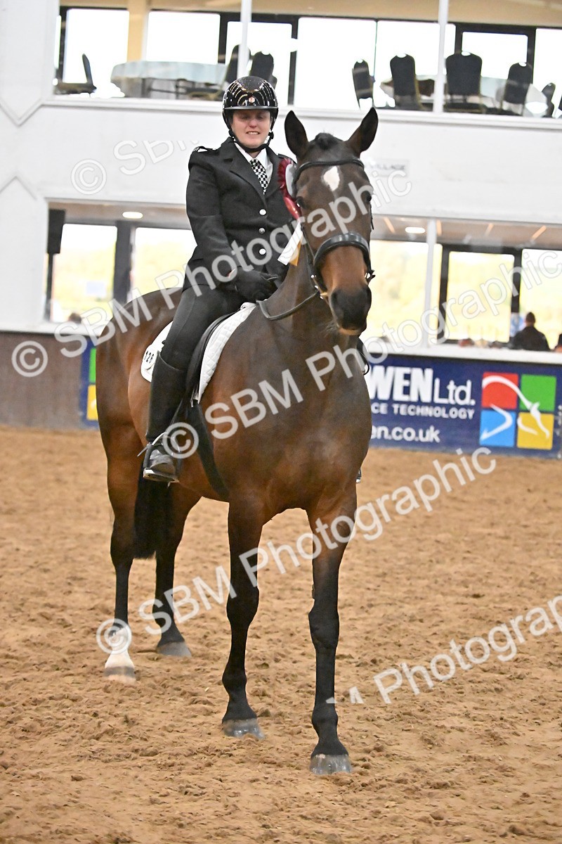 SBM_003031 - Class 37,38 - UKPSAF Performance Horse & Pony