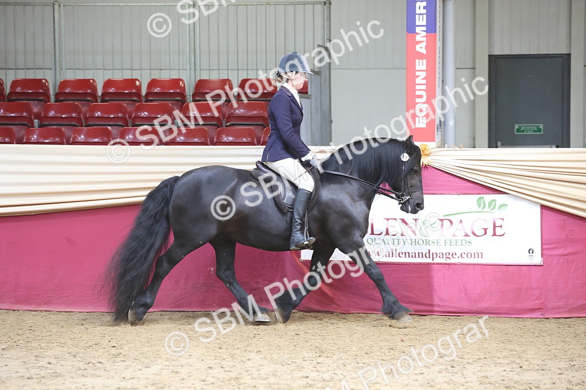 SBM_23710 - class 906 - Supreme Final - Ridden Pre Vet