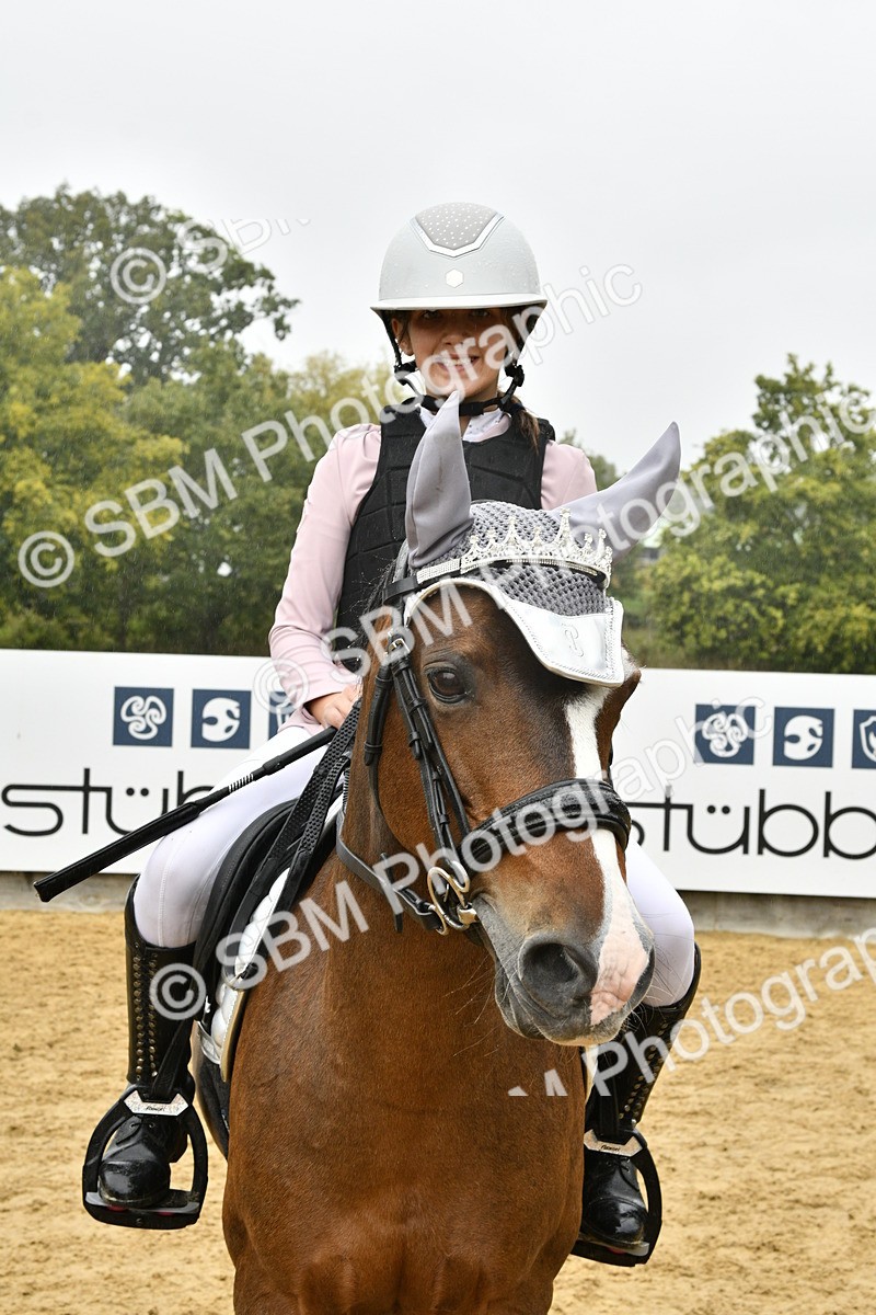 SBM_71029 - J3 - Mini Tour Junior Pony 40cm championship