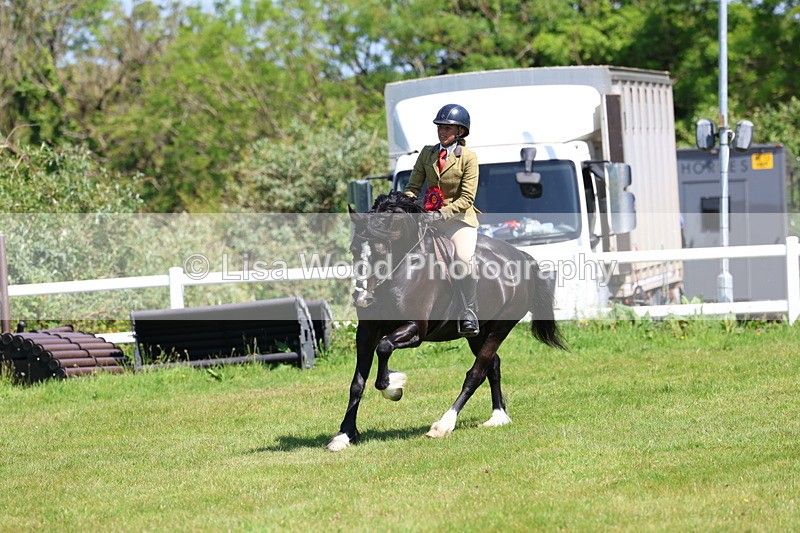 3E7A6751 - Working Hunter Pony Championship