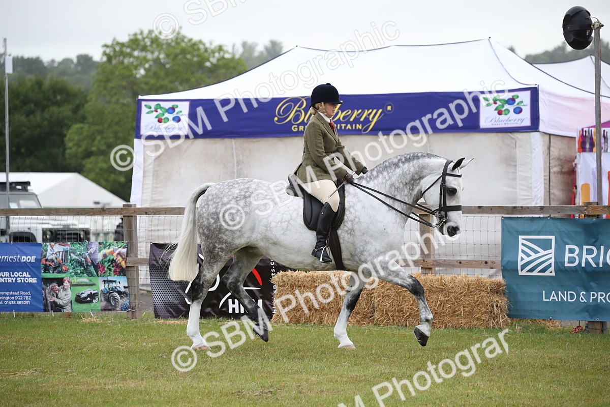 SBM_11037 - Class 92-93 - LIHS BSHA Rising Star Cobs