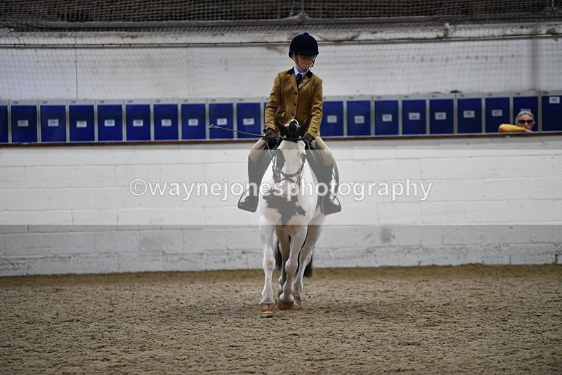 WJ5_7281 - Class 11 Ridden PC - RC Pony