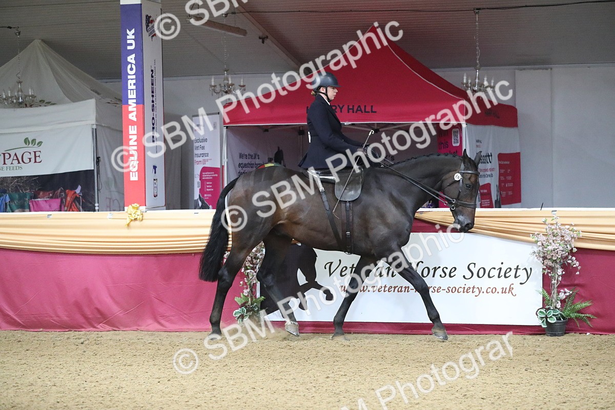 SBM_10309 - Class 102 Equitation (best rider) Adult