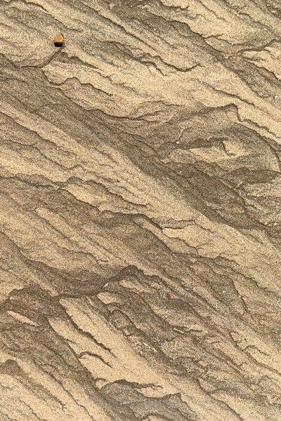  - Detail in Landscape