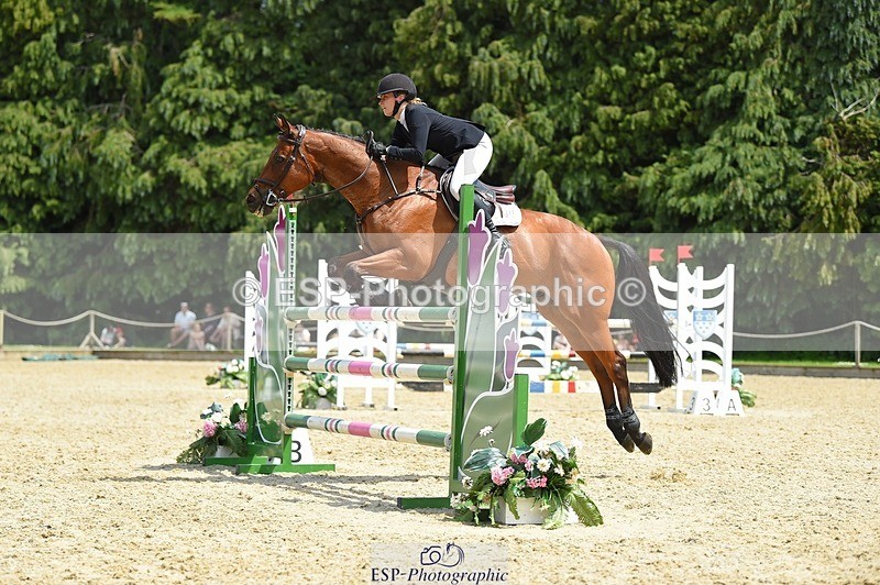 230528-124052-15808 - 377-GOLD_NUGGET-Jillian_Giessen-SUNTrotUp+SJ