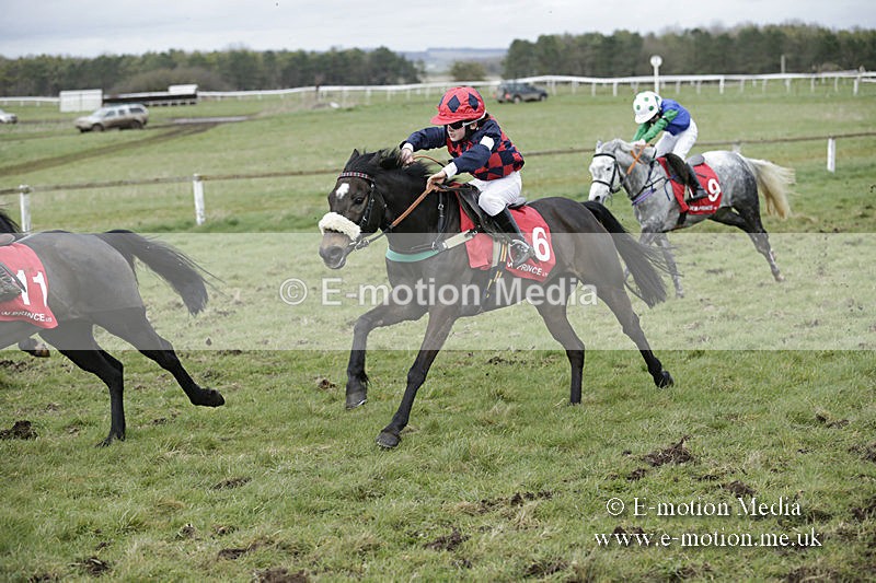PtP 150320 0768 - New Forest Point-to-Point Larkhill 15/03/20