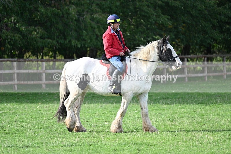 WJ7_1084 - Time 14:27 to 15:11