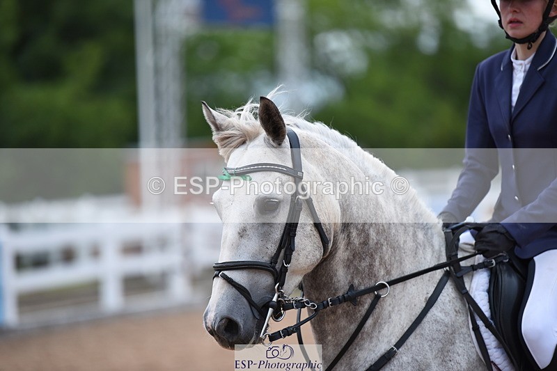 230718A-190110-00616 - 80cm