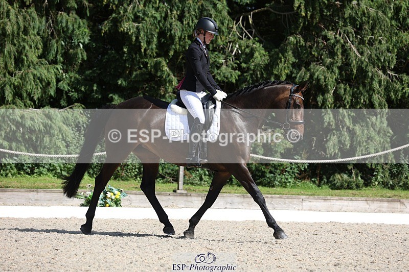 230811-154633-02527 - Cls 1 Prelim Bronze 15.00 to End