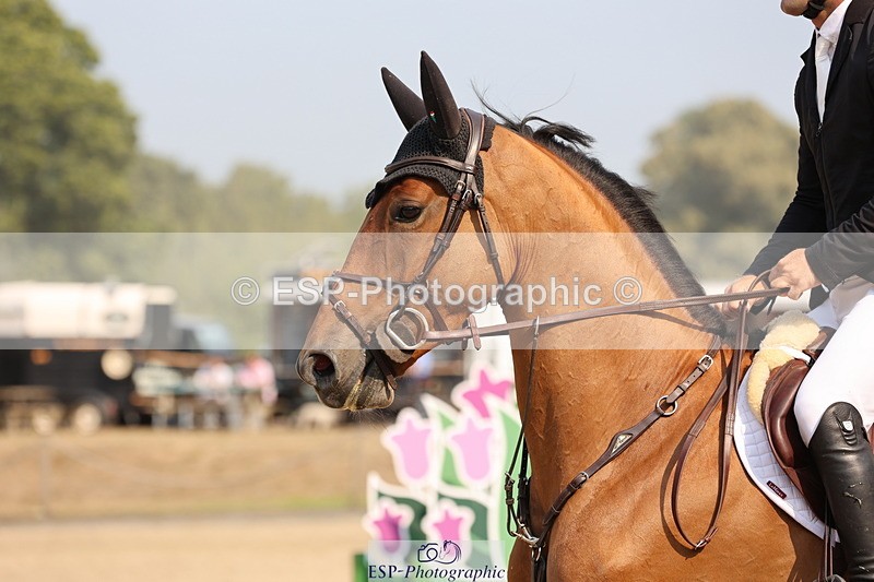250816A-102012-00662 - Cls 3 Snr British Novice