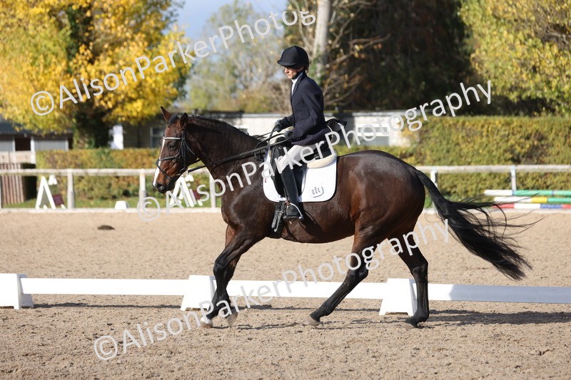 20251101-0638 - Class 5 - Novice 3