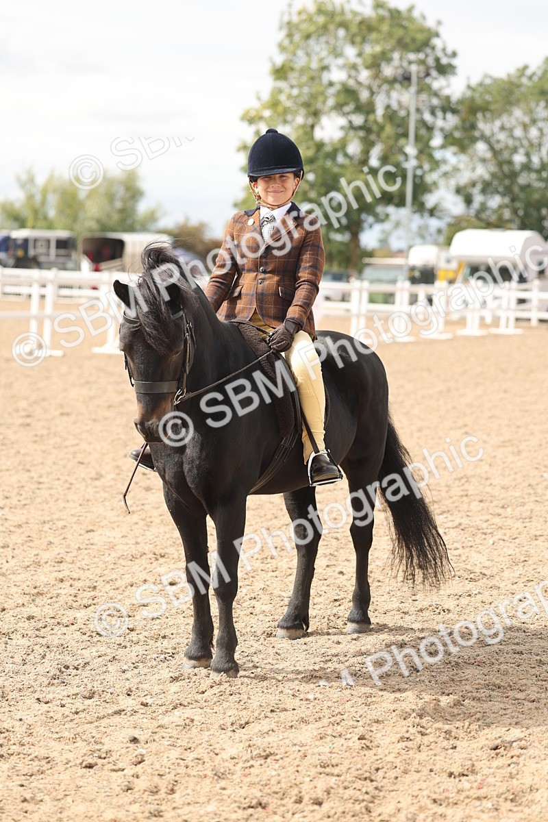 SBM_15889 - Class 310 - First Ridden Pony