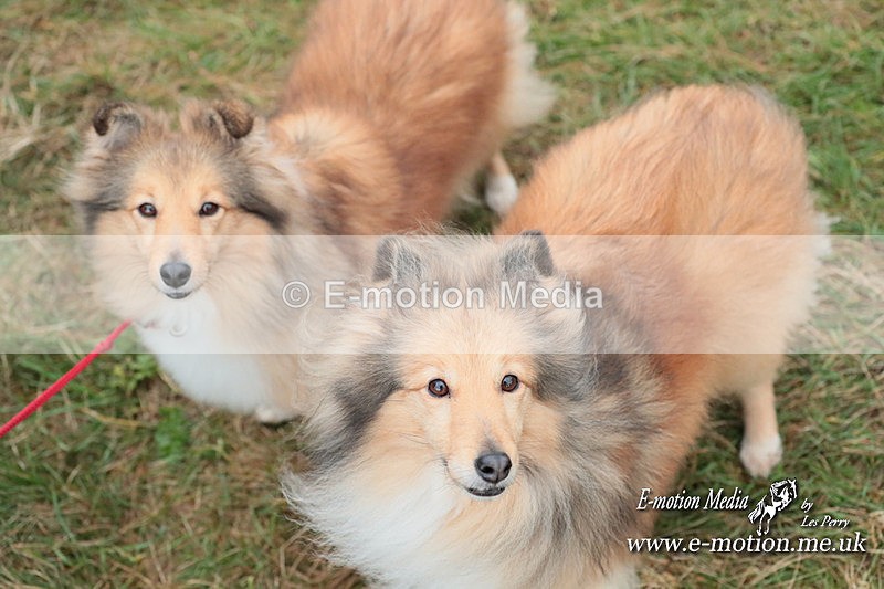 PtP 040224 677 - Combined Services Point-toPoint Larkhill 04/02/24