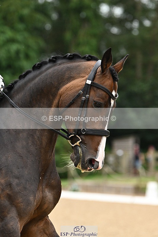 240811-100940-04949 - 170-Rebecca.Lee-Woolf-Fire