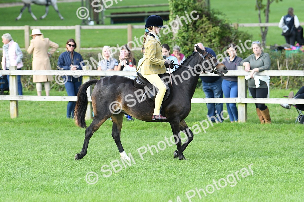 SBM_51813 - S21 - Novice & Newcomers 1st Ridden Pony