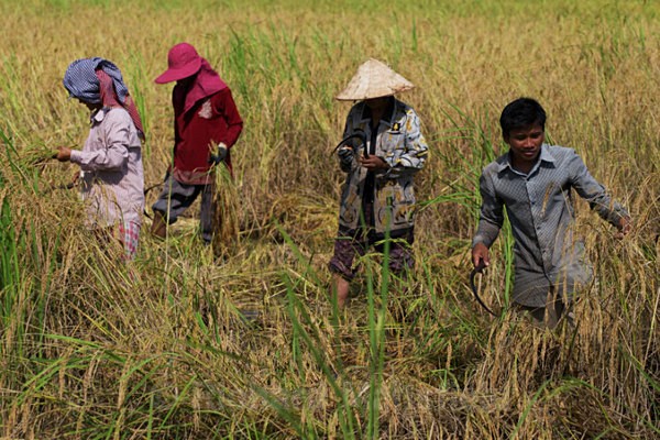  - Cambodia