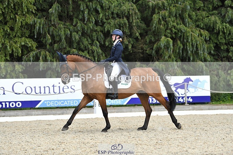 230525-154343-03297 - 329-VINTAGE_GRAFFITI-Alice_Hallows-WEDTrotUp+DR