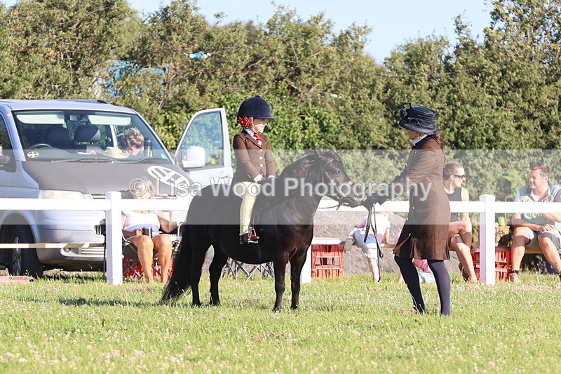 JPP_0854 - Class 16: Cornish Combination Leading Rein