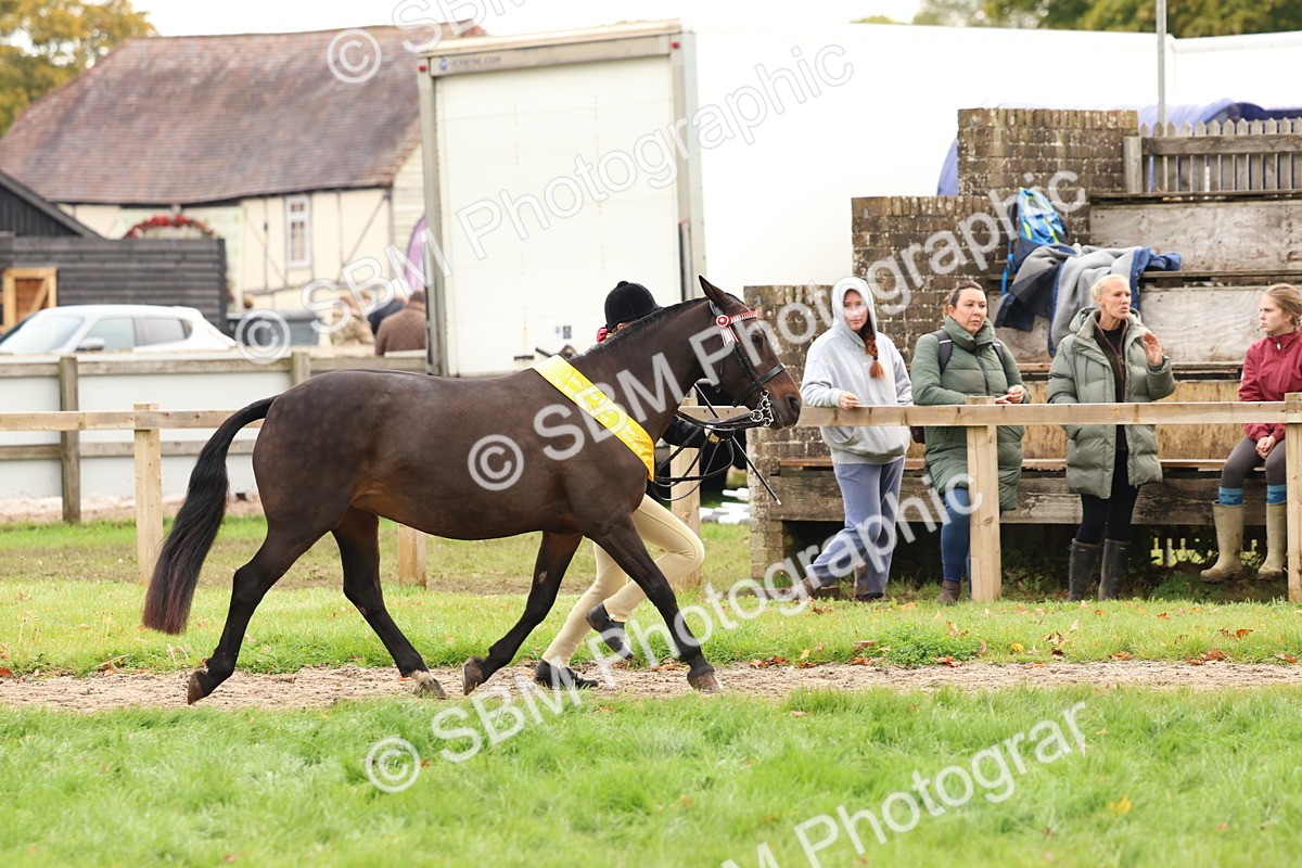 SBM_59762 - Start Supreme Championship