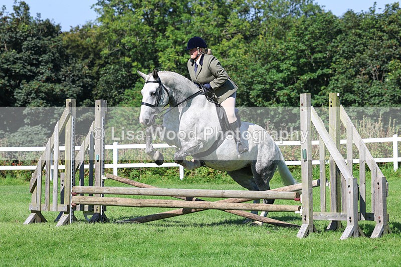 3E7A8243 - Class 4: Novice working Hunter