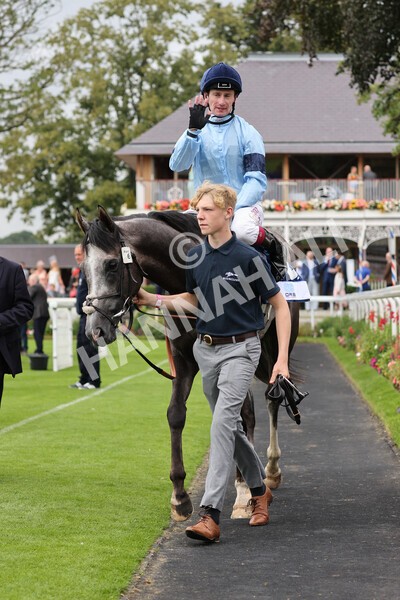 yr19082021r5-39 - Race 5 4.10pm OR8wellness ebfstallions Nursery Handicap