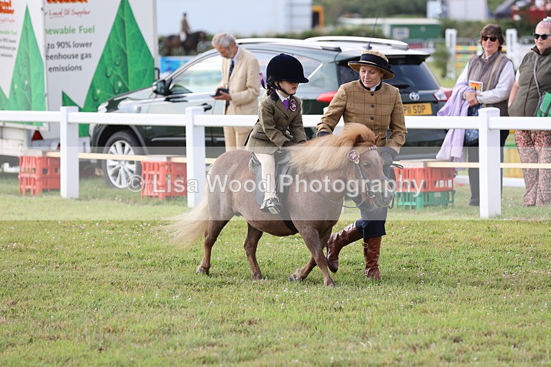 JPP_0215 - Class 14: Cornish Combination Leading Rein