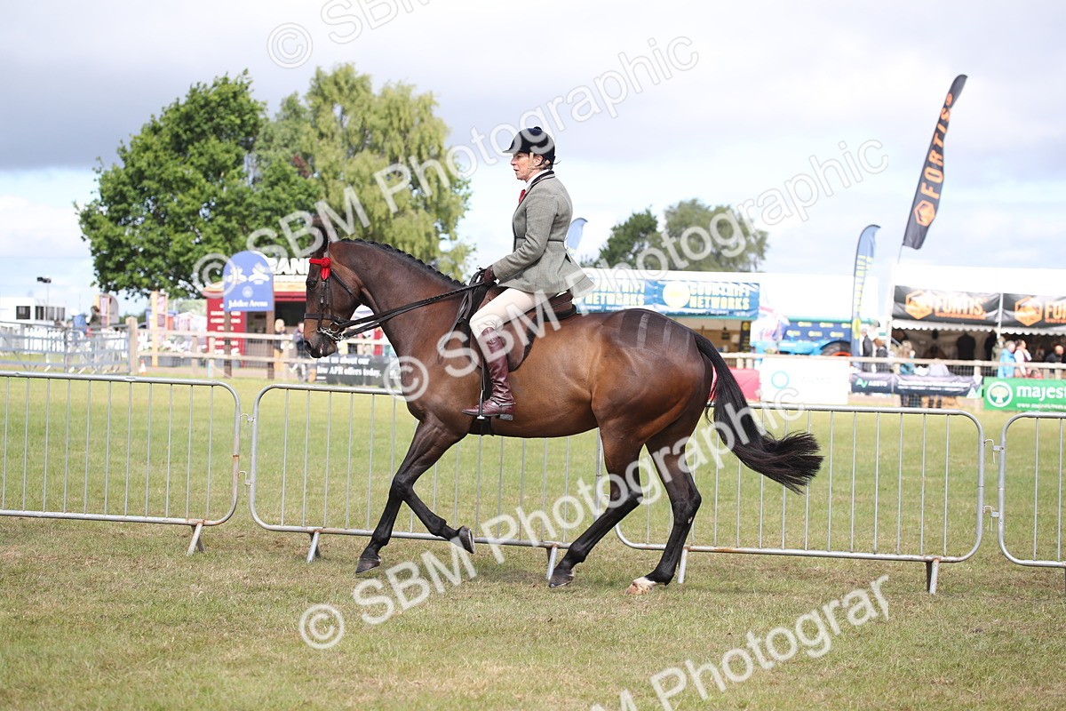 SBM_13244 - Class 95-96 - LIHS BSHA Rising Star Hack Riding Horse