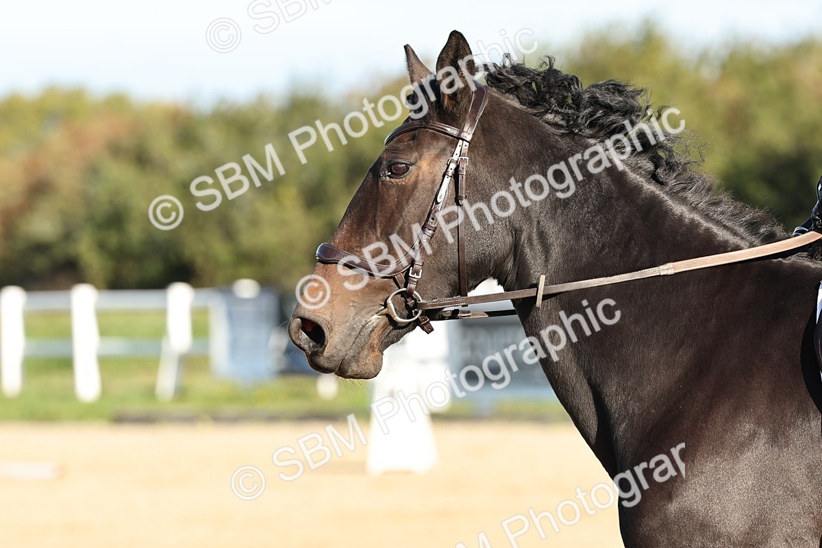 SBM_003126 - Class 66 - Intro 3