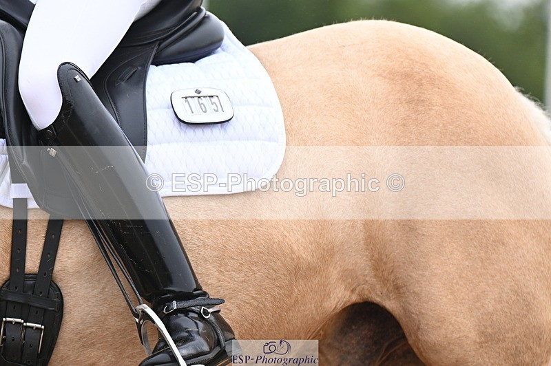 240815A-111815-00268 - 165-Louisa.Julie.Brend-Cynheidrefawr.gerwyn